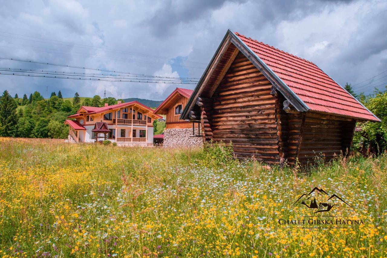 Apartments Chalet Girska Hatyna Vorokhta Exterior foto