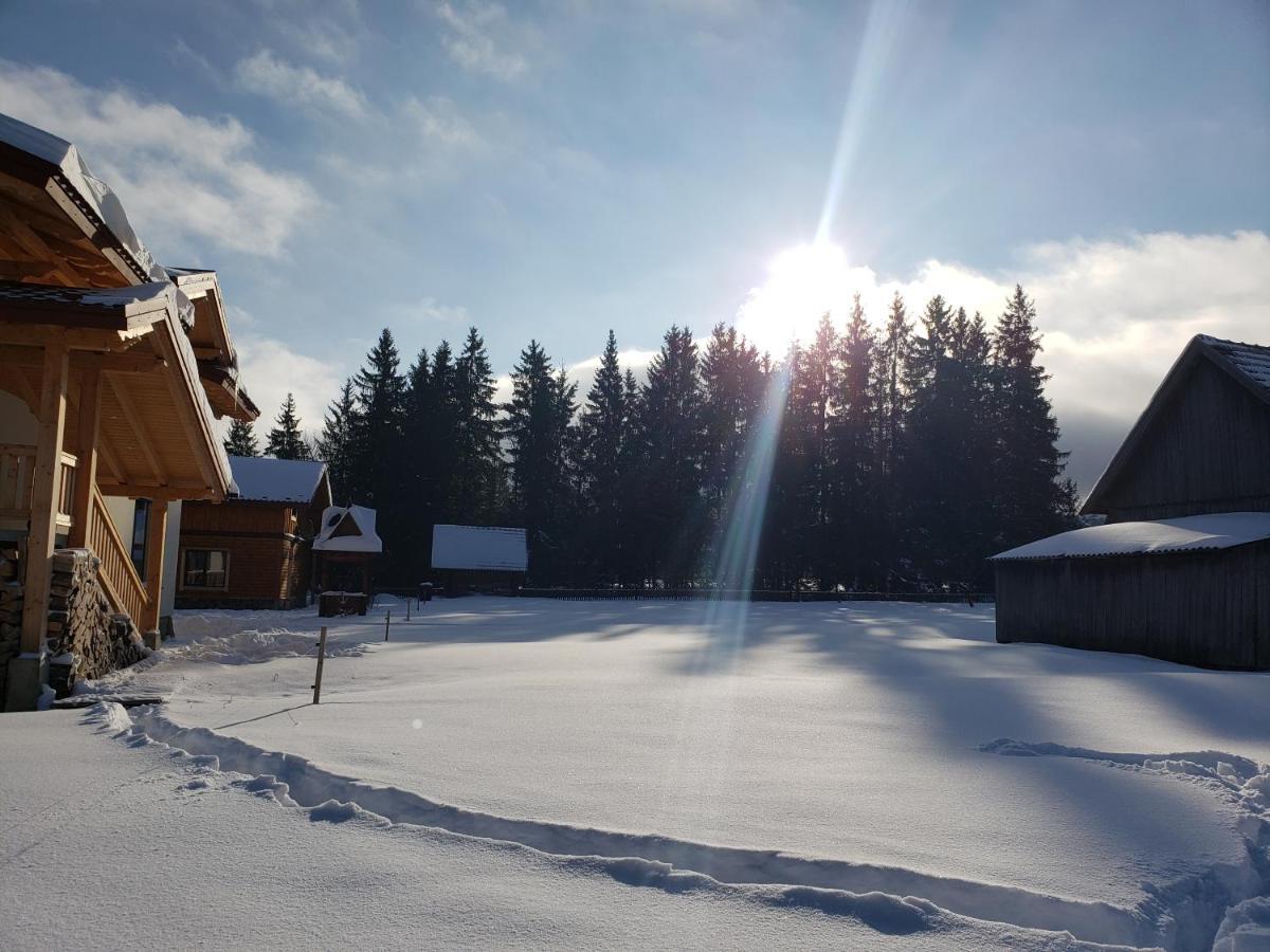 Apartments Chalet Girska Hatyna Vorokhta Exterior foto